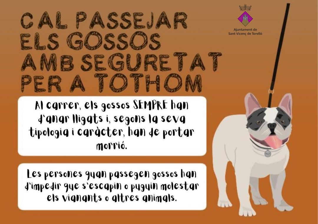 RECORDATORI ALS PROPIETARIS DE GOSSOS