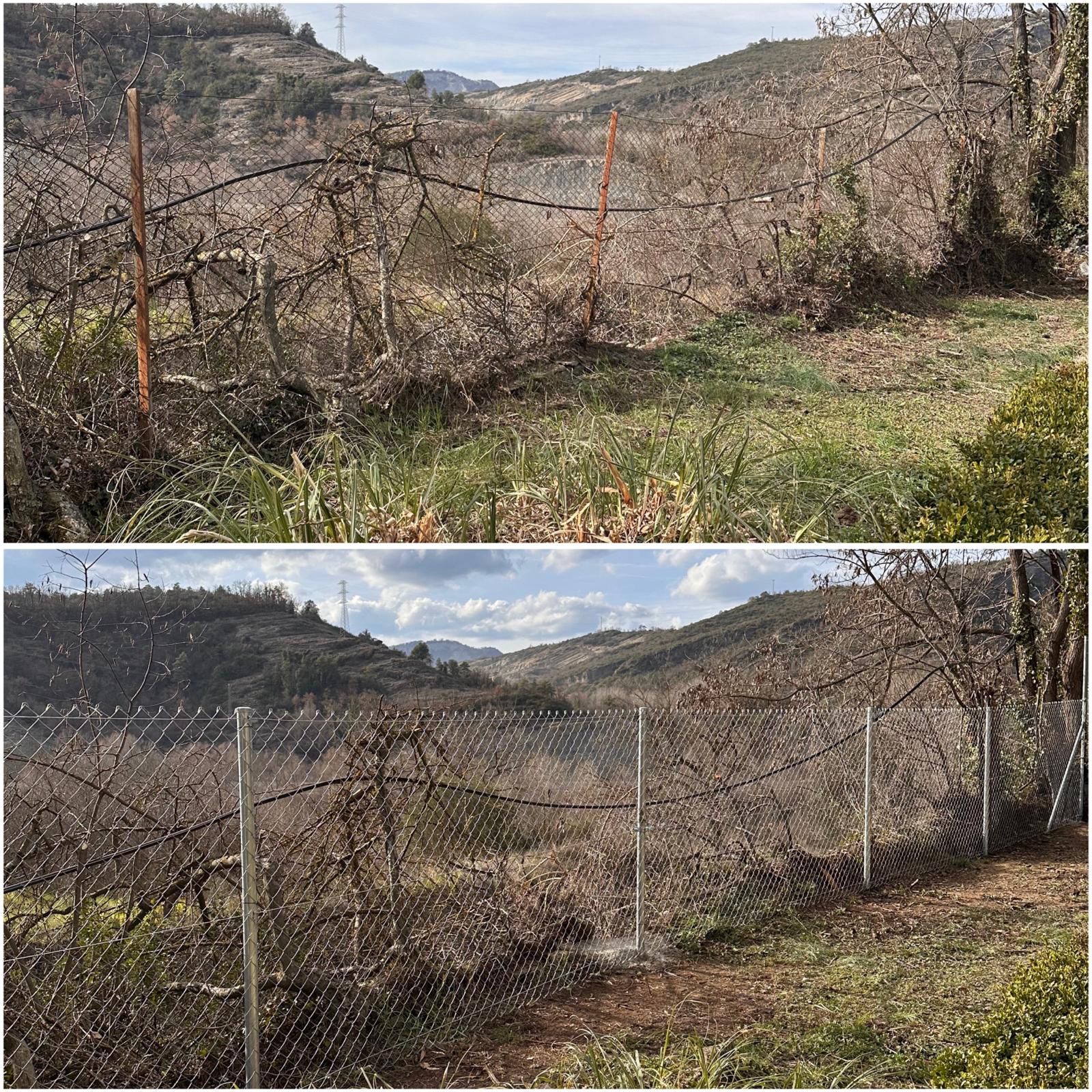 TASQUES DE MANTENIMENT A L'ENTORN DE LA VIA DEL TREN